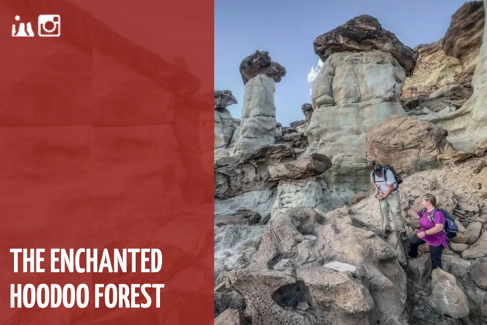 Dreamland Safari Tours HOODOO FOREST 2